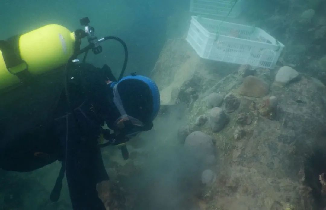 亚洲必赢·(中国区)官方网站