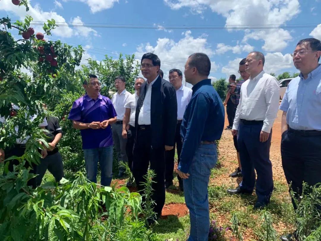 亚洲必赢·(中国区)官方网站