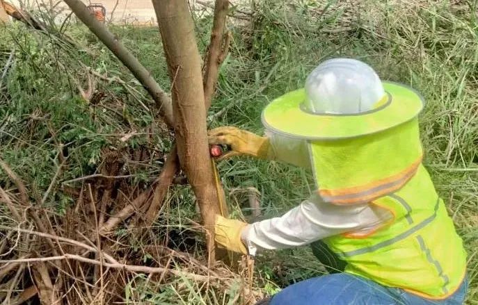 亚洲必赢·(中国区)官方网站