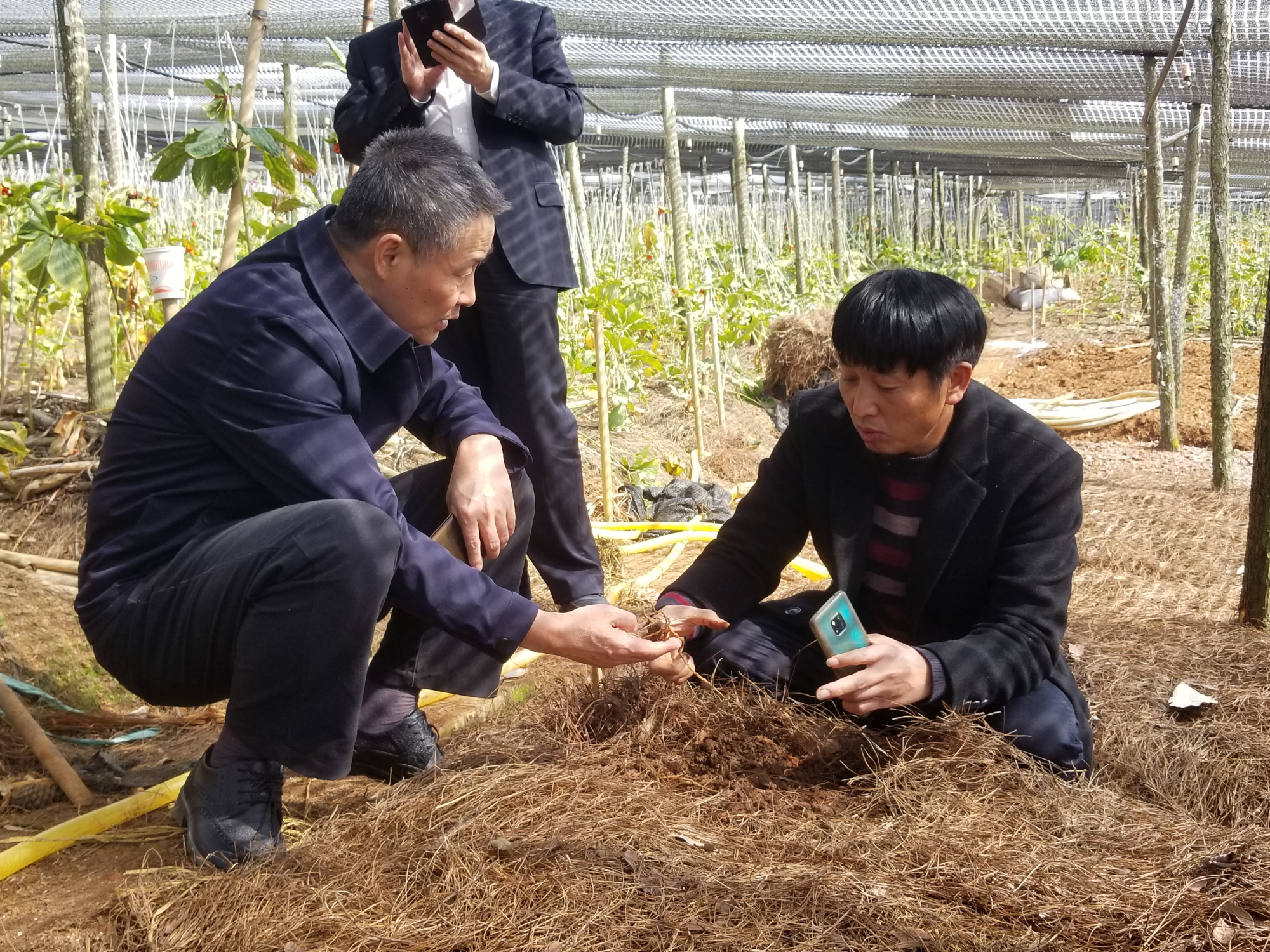 亚洲必赢·(中国区)官方网站