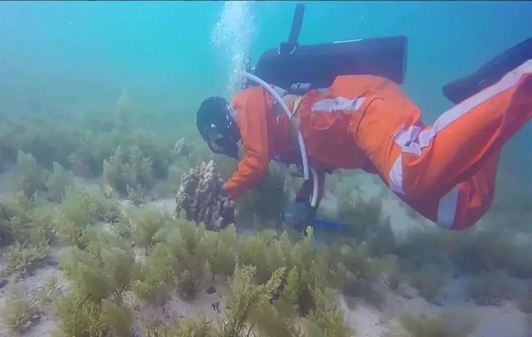 亚洲必赢·(中国区)官方网站